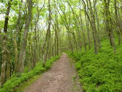 Quantock Hills Wallpaper