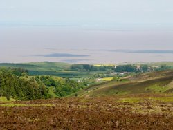 Quantock Hills Wallpaper