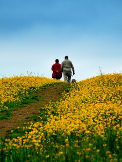 Walking through a Birstall Meadow