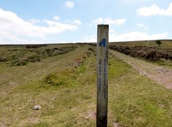 Quantock Hills Wallpaper