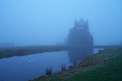 Dawn morning, Whitby Abbey Wallpaper