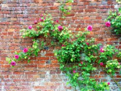 Stoneleigh Abbey Gardens Wallpaper