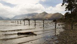 Catbells again Wallpaper