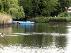 Regents Park, London Wallpaper