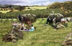 Haymaking in Checkley Herefordshire Wallpaper