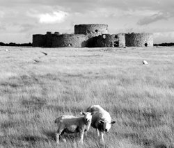 Camber Castle Wallpaper