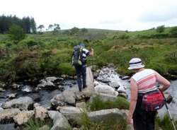 Dartmoor Wallpaper