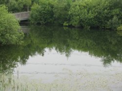 Whisby Nature Reserve Wallpaper