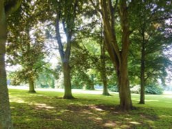 Beacon Park, Lichfield Wallpaper