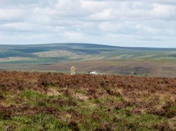 Dartmoor Wallpaper