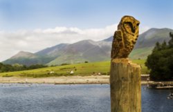 Derwentwater owl Wallpaper