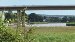 The M5 neat Topsham Wallpaper