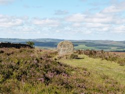 Dartmoor Wallpaper