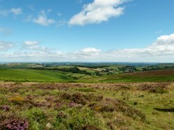 Dartmoor Wallpaper