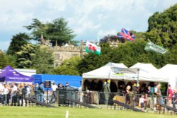 Arbury Hall Game Fair Wallpaper