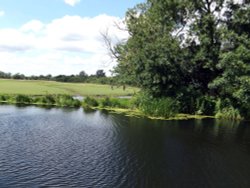 River Chelmer, Little Baddow Wallpaper