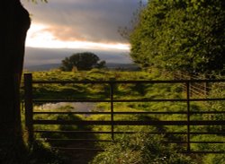 Evening Sunset in Weardale