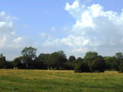 The Green, Long Lawford Wallpaper