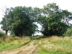 Northampton Lane, Dunchurch Wallpaper