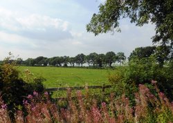 Windmill Lane, Dunchurch Wallpaper