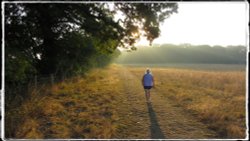 Lound Lake Walks, Suffolk Wallpaper