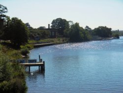 The River Thames next to Hampton Court Palace Wallpaper