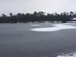 Black Park Lake frozen Winter 2013 Wallpaper