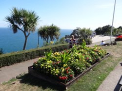 Babbacombe Downs Wallpaper