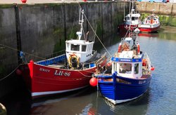 Fishing Boats at Seahouses Wallpaper