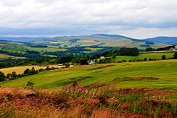 Landscape near Selkirk