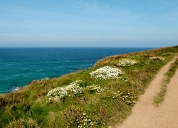 West Pentire Wallpaper