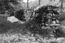 Coniston wall Wallpaper