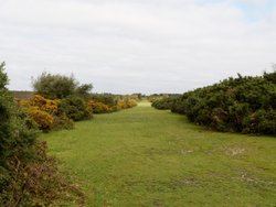 Sampford Moor Wallpaper