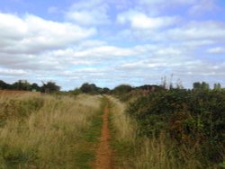 Old railway line near Cawston Wallpaper