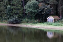 Swithland Reservoir Wallpaper