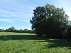 Draycote Meadows in early Autumn Wallpaper