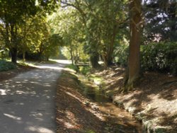 Country lane, Draycote Wallpaper