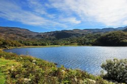 Llyn Cwm Bychan near Llanbedr Wallpaper