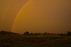 Bradgate Park Wallpaper