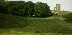 Bradgate Park Wallpaper