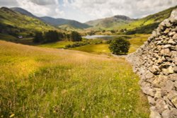 Little Langdale Tarn 2 Wallpaper