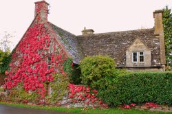 Autumn colours