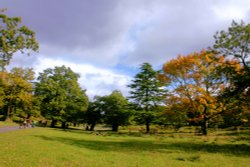 Bradgate Park Wallpaper