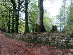 Quantock Hills Wallpaper