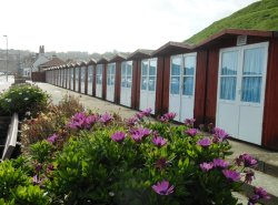 Beach Huts, Swanage Wallpaper