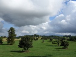 Sherborne Castle Estate Wallpaper