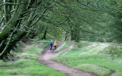 Quantock Hills Wallpaper