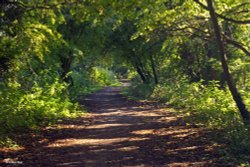 Stour Valley Autumn Wallpaper