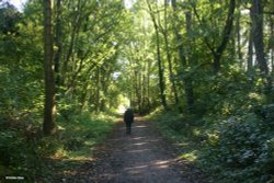 Stour Valley Autumn Wallpaper