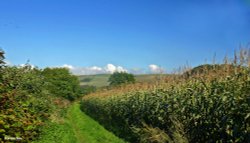 Stour Valley Autumn Wallpaper